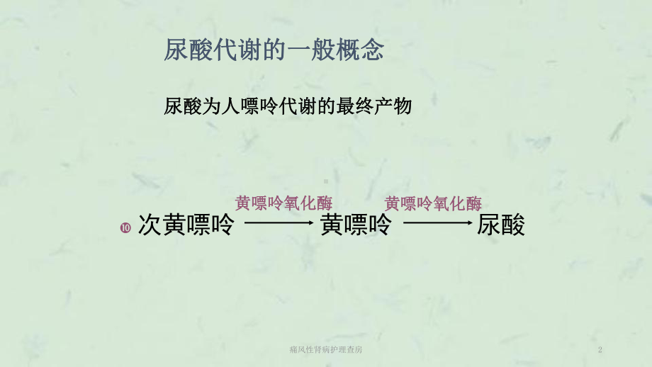 痛风性肾病护理查房课件.ppt_第2页