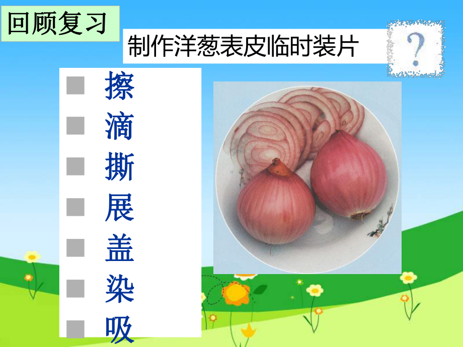 -动物细胞-课件.ppt_第3页