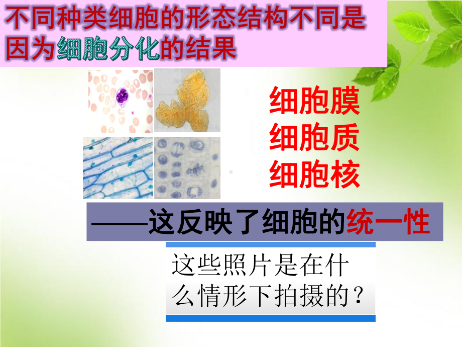 (新教材)细胞的多样性和统一性完整版人教版课件1.pptx_第3页