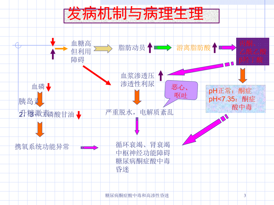 糖尿病酮症酸中毒和高渗性昏迷培训课件.ppt_第3页