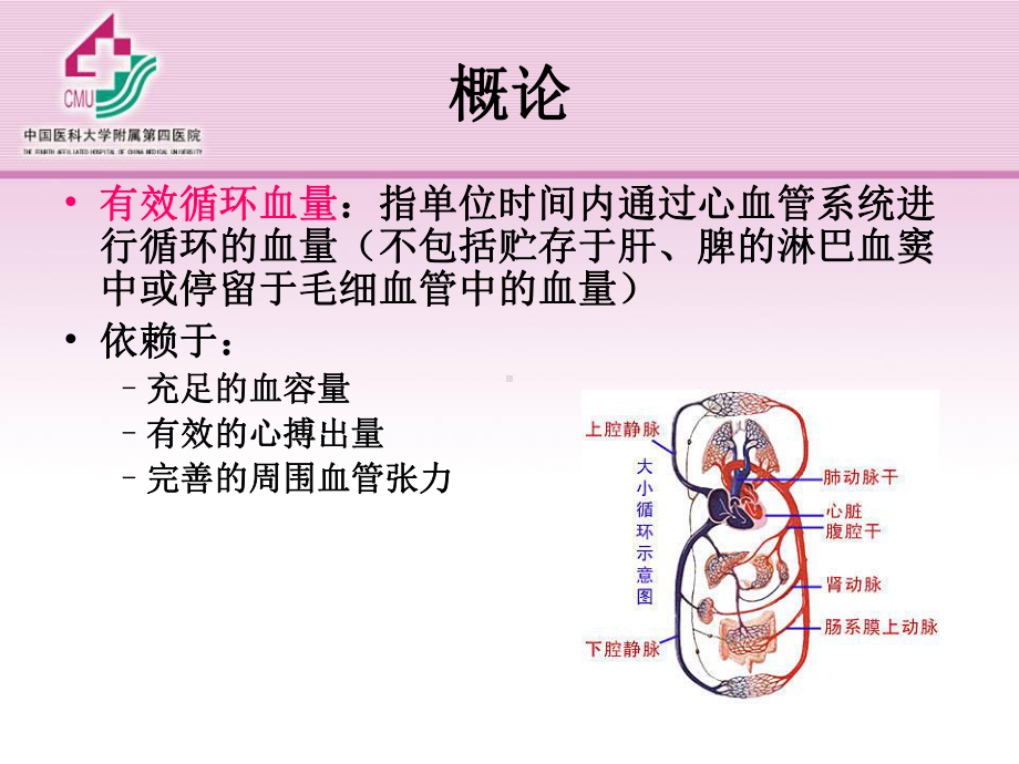 五章外科休克优秀课件.pptx_第3页