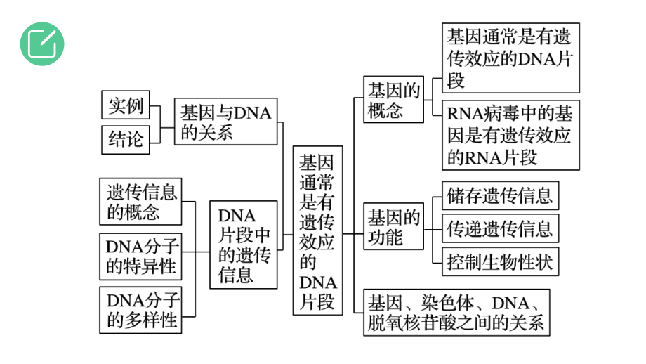 2022届全国新高考生物精准复习基因通常是有遗传效应的DNA片段课件.pptx_第2页