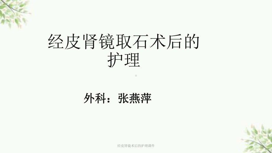 经皮肾镜术后的护理课件-2.ppt_第1页