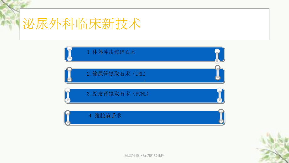 经皮肾镜术后的护理课件-2.ppt_第2页