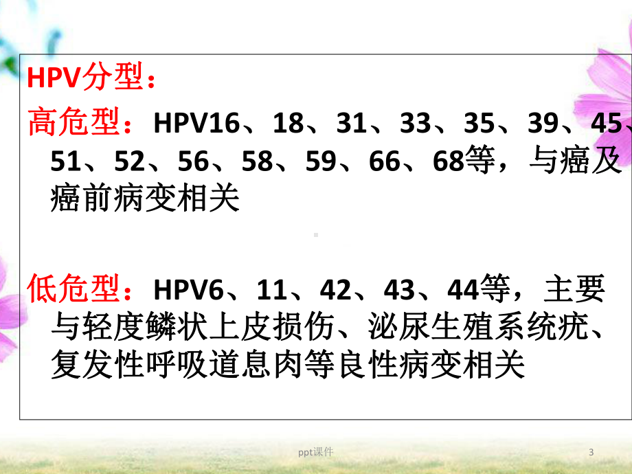 HPV感染与宫颈癌-课件.ppt_第3页