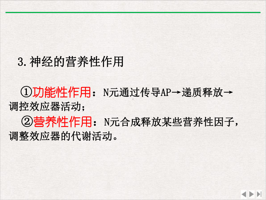 神经系统神经元实用版课件.pptx_第2页