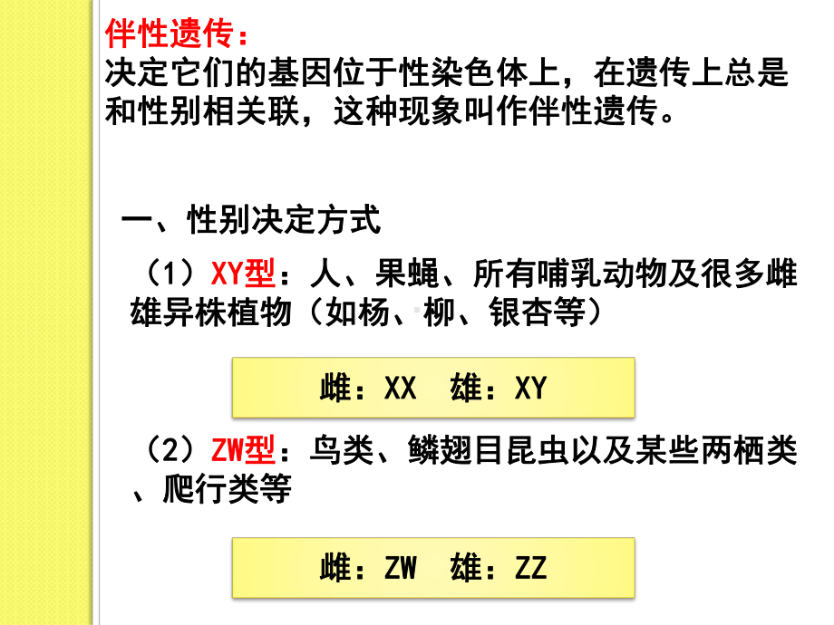 (新教材)高中生物《伴性遗传》课件人教版1.pptx_第2页