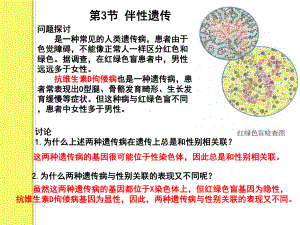 (新教材)高中生物《伴性遗传》课件人教版1.pptx