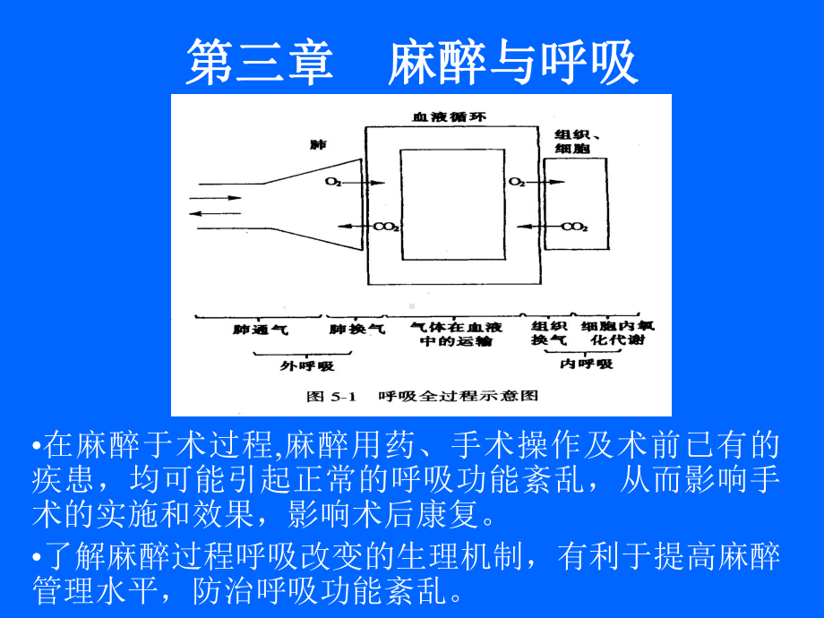 3章麻醉与呼吸课件.ppt_第1页