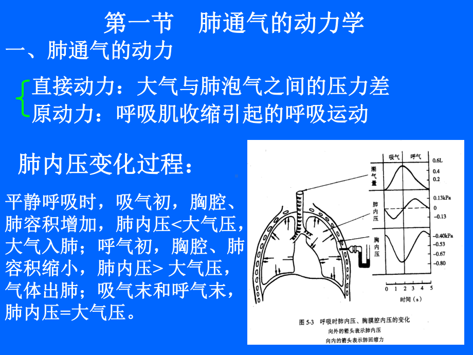 3章麻醉与呼吸课件.ppt_第2页