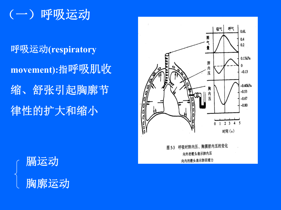 3章麻醉与呼吸课件.ppt_第3页