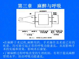 3章麻醉与呼吸课件.ppt