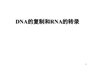 DNA复制和RNA转录课件.ppt