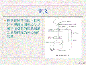 神经源性膀胱寇姣姣完整版课件.pptx