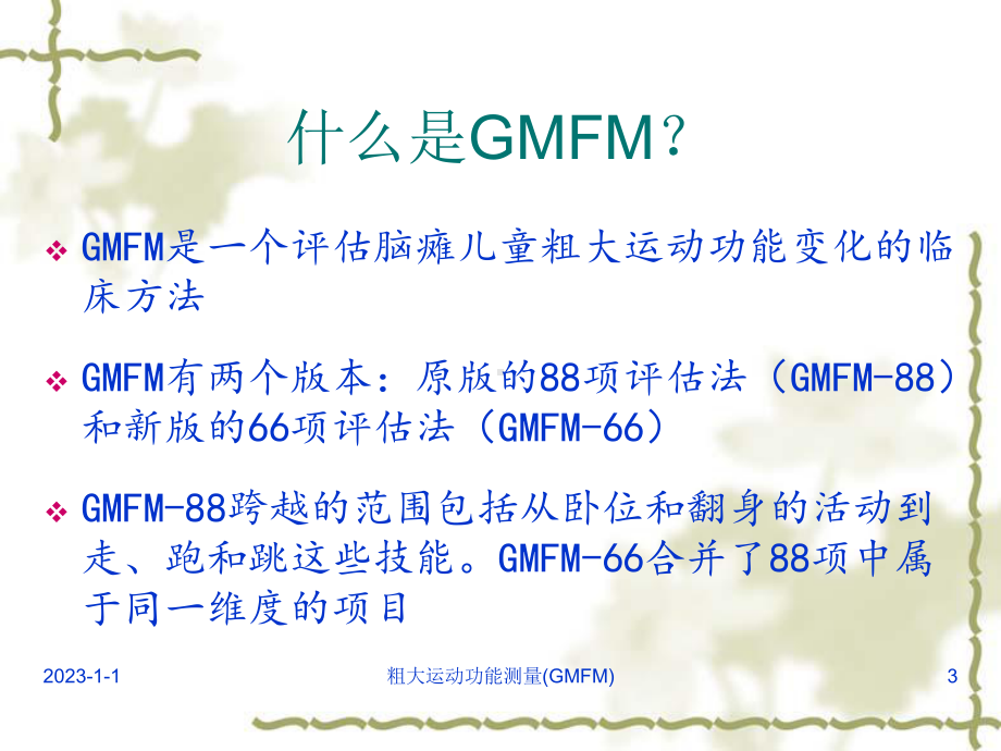 GMFM-包含分级系统课件.ppt_第3页