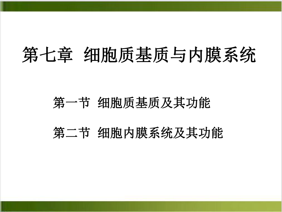 第七章细胞质基质和内膜系统课件.ppt_第3页