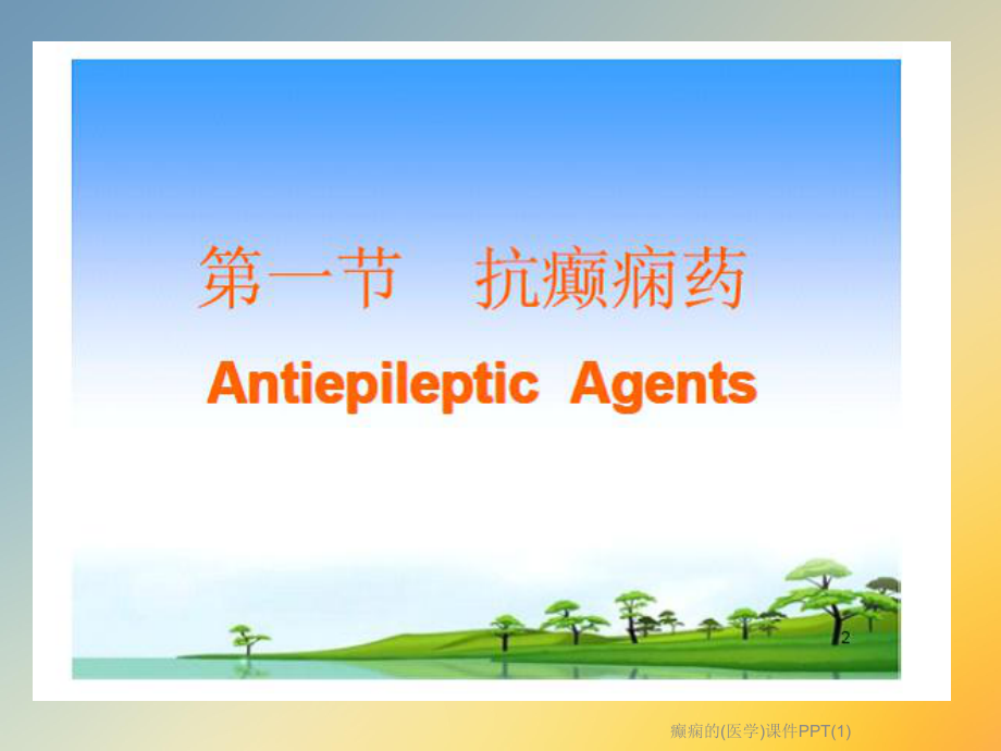 癫痫的(医学)课件.ppt_第2页