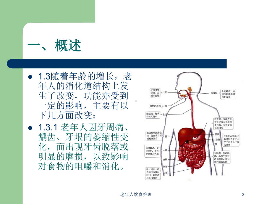 老年人饮食护理培训课件.ppt_第3页