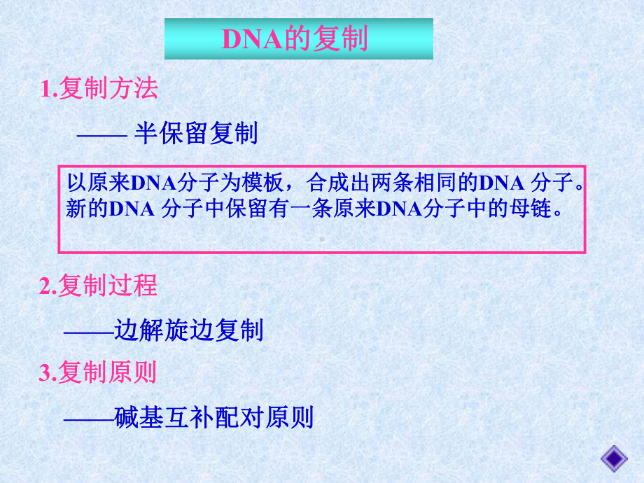 DNA的复制与分配课件.ppt_第3页