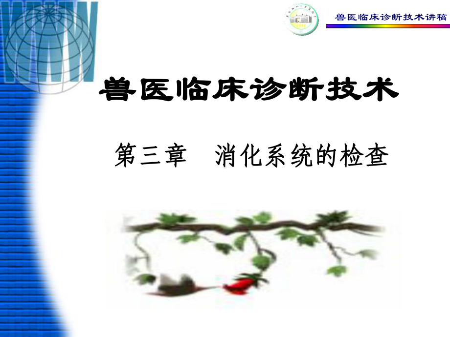 三章-消化系统的检查课件.ppt_第1页