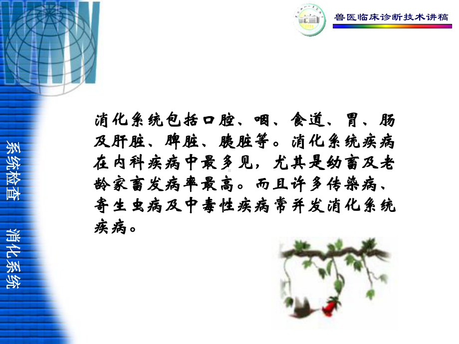 三章-消化系统的检查课件.ppt_第2页