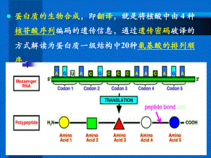 翻译医学知识宣讲培训课件.ppt