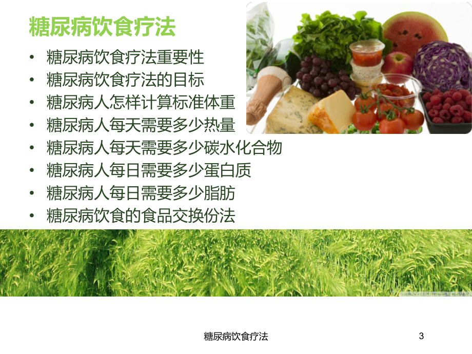 糖尿病饮食疗法培训课件.ppt_第3页