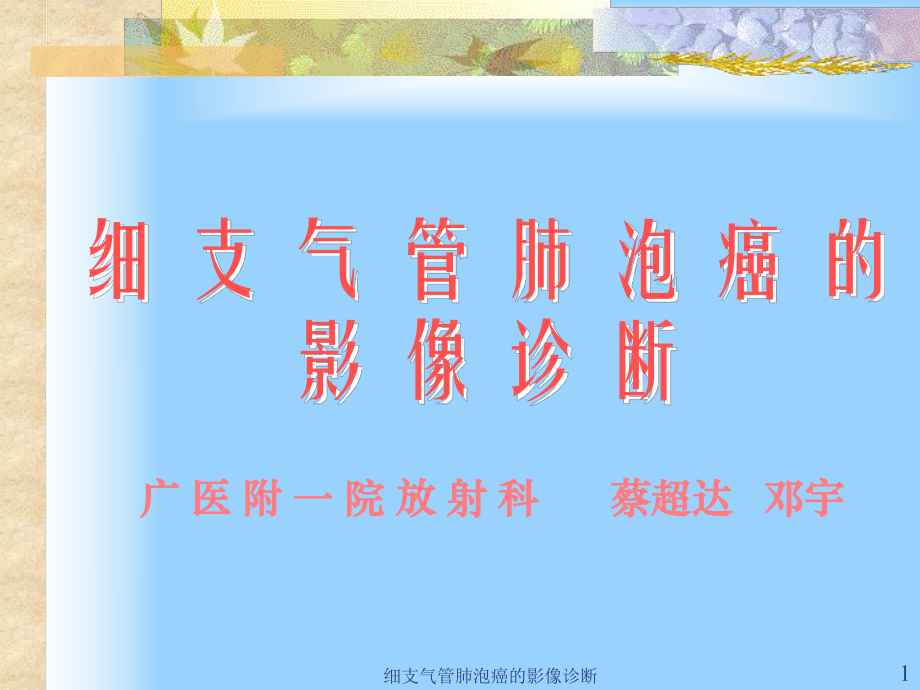 细支气管肺泡癌的影像诊断课件.ppt_第1页