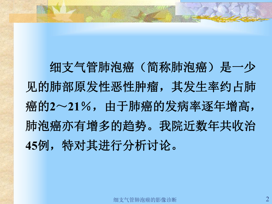 细支气管肺泡癌的影像诊断课件.ppt_第2页