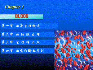 第八版大学医学院生理版课件教材血液.ppt