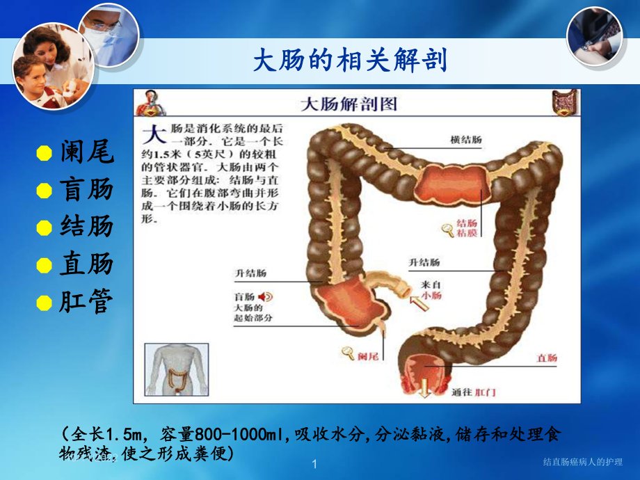 结直肠癌病人的护理培训课件.ppt_第1页