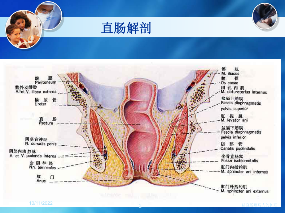 结直肠癌病人的护理培训课件.ppt_第2页