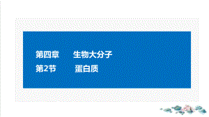 (新)人教版《生物大分子》上课课件1.pptx