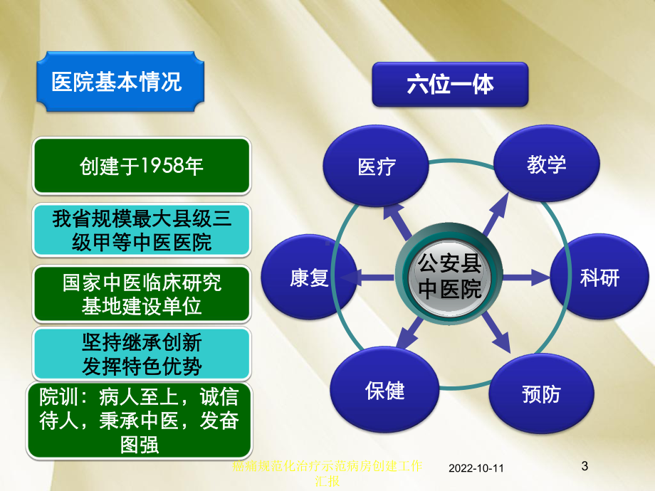 癌痛规范化治疗示范病房创建工作汇报培训课件.ppt_第3页