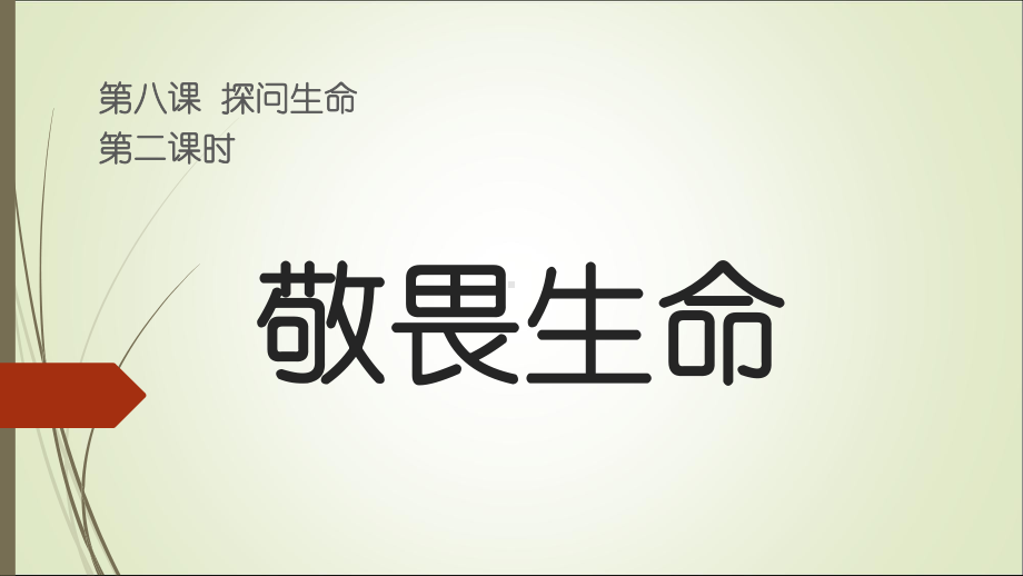 《敬畏生命》优质部编版教材1课件.ppt_第3页