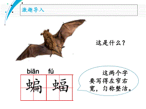 (人教部编版)小学语文《蝙蝠和雷达》专家课件1.ppt