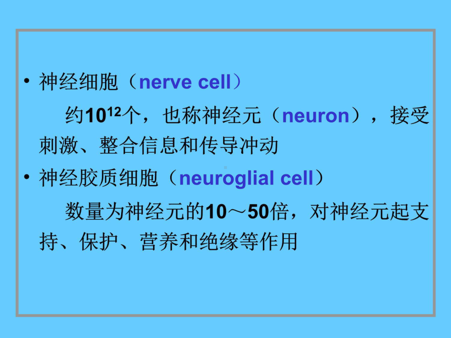 7章神经组织课件.ppt_第3页