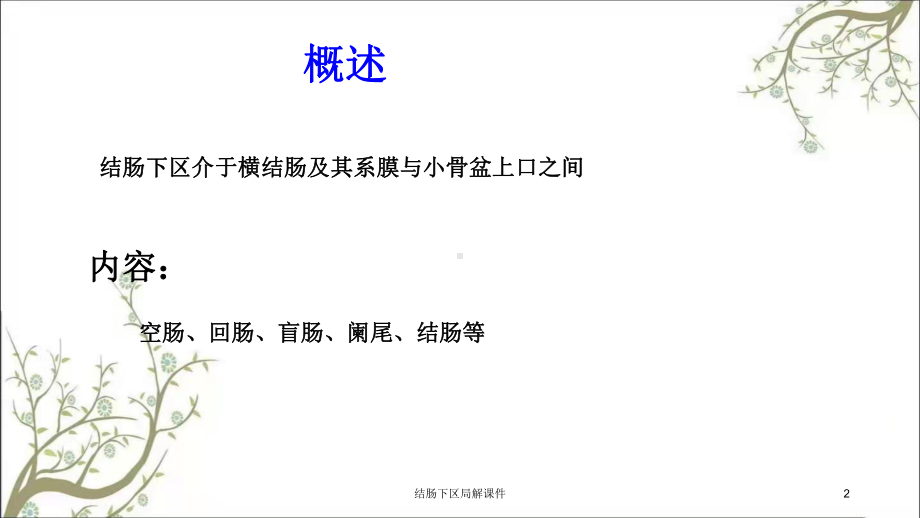 结肠下区局解课件.ppt_第2页