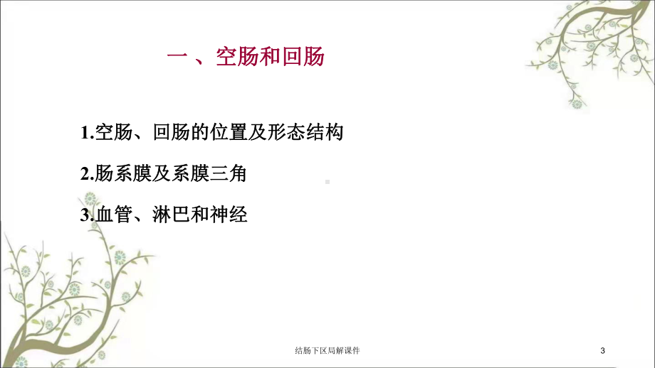 结肠下区局解课件.ppt_第3页