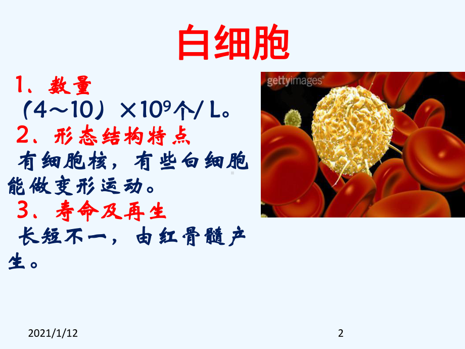 白细胞与血小板课件.ppt_第2页