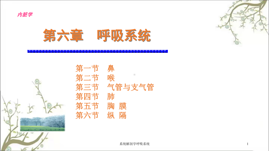 系统解剖学呼吸系统课件.ppt_第1页