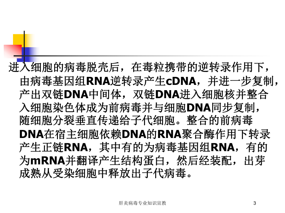 肝炎病毒专业知识宣教培训课件.ppt_第3页