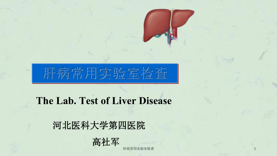 肝病常用实验室检查课件.ppt_第1页