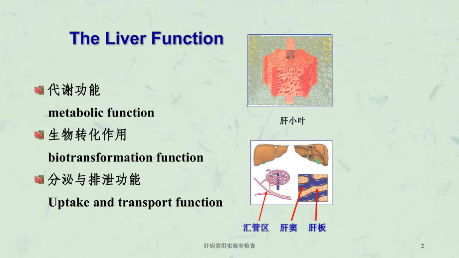 肝病常用实验室检查课件.ppt_第2页