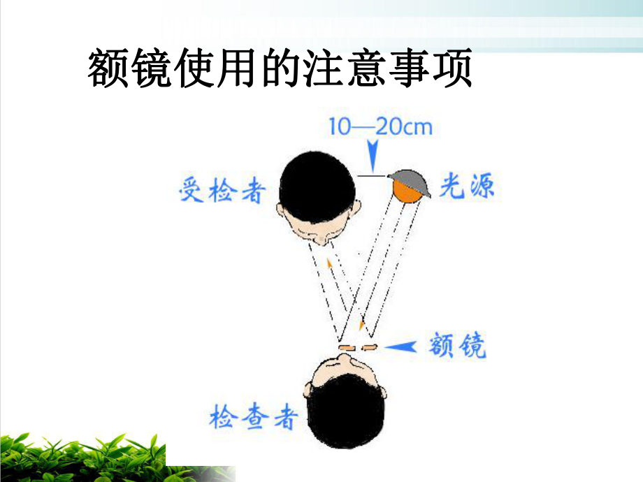 耳鼻喉科正常体格检查讲课课件.ppt_第3页