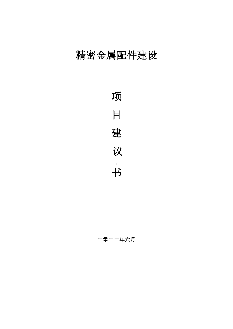 精密金属配件项目建议书（写作模板）.doc_第1页