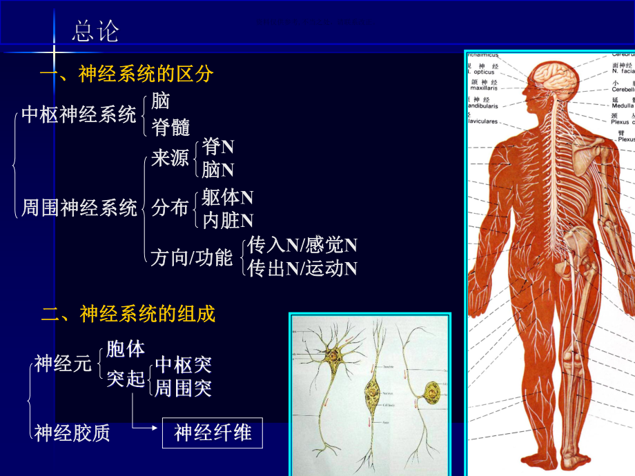 神经系统药学课件.ppt_第1页