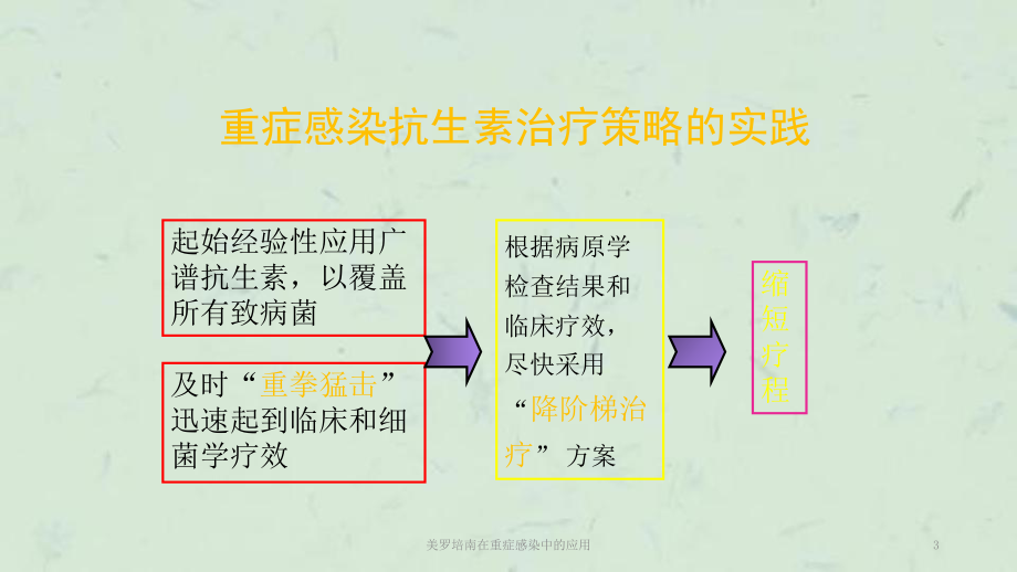 美罗培南在重症感染中的应用课件.ppt_第3页