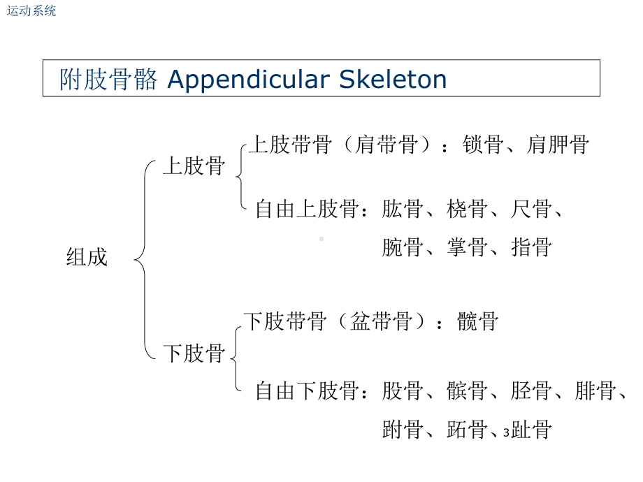 肘关节解剖结构-课件.ppt_第3页