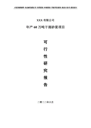 年产60万吨干混砂浆项目可行性研究报告建议书.doc